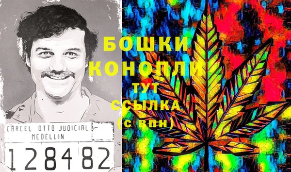 твердый Арсеньев