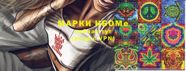 твердый Арсеньев