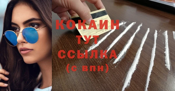 твердый Арсеньев