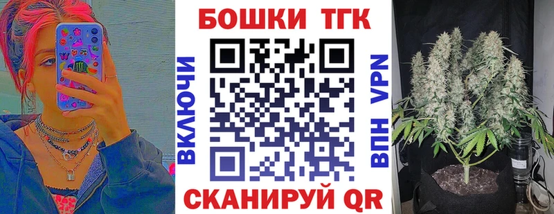 дарк нет наркотические препараты  сколько стоит  Сосновый Бор  Бошки марихуана сатива 
